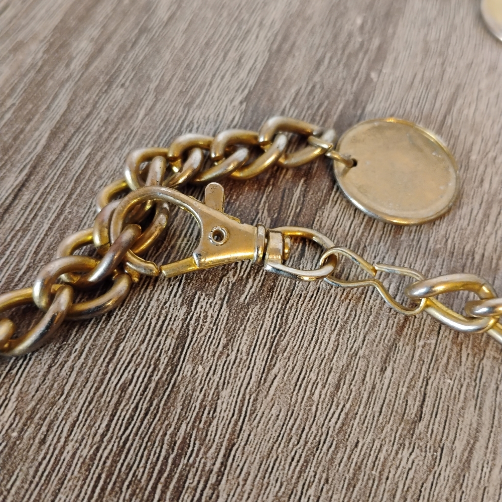 Cluster Coin/Chain Belt - Picture 5 of 5